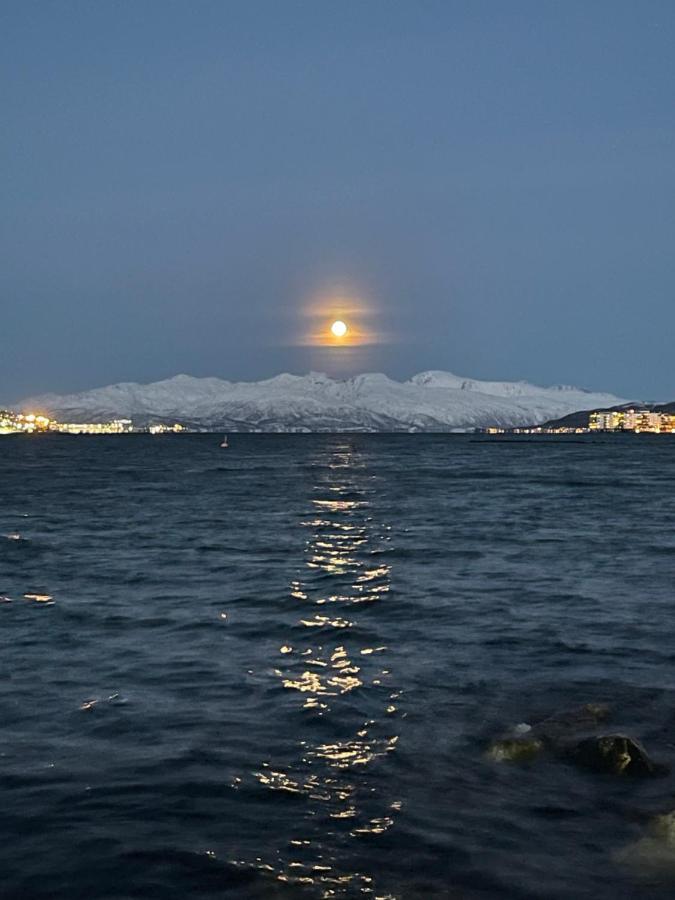 Close To The City, Ocean And Mountains -tromso