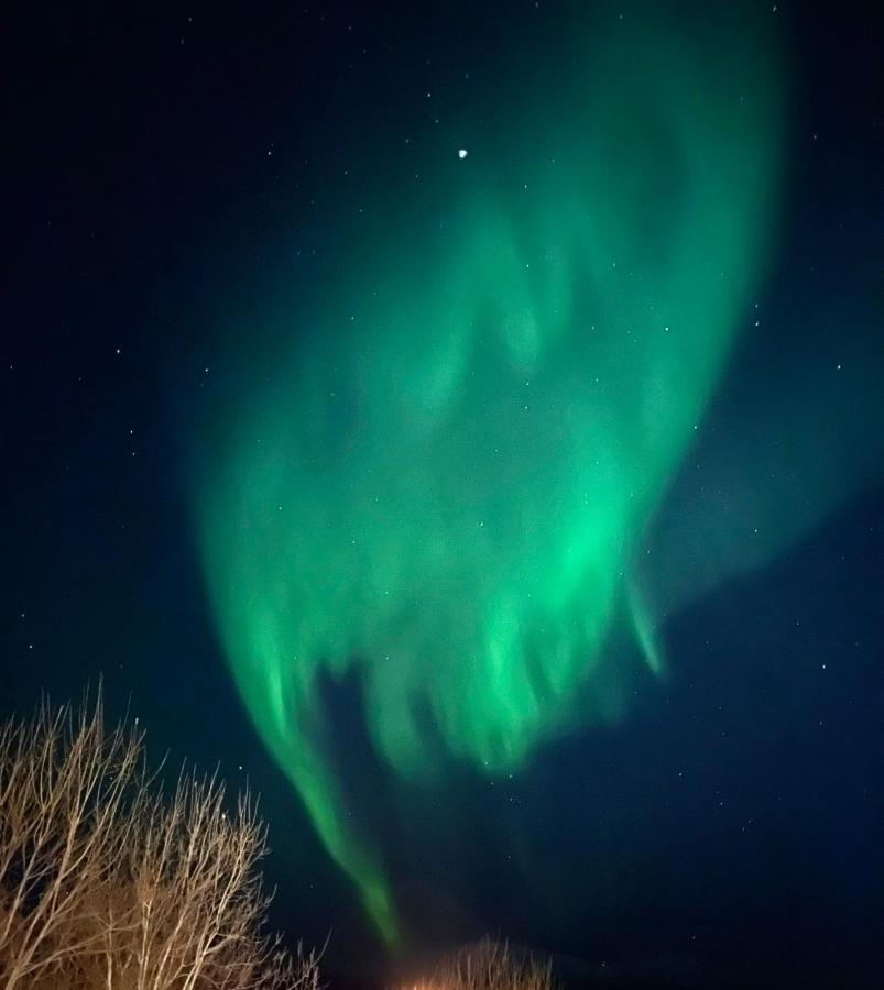 Close To The City, Ocean And Mountains -tromso * Tromso