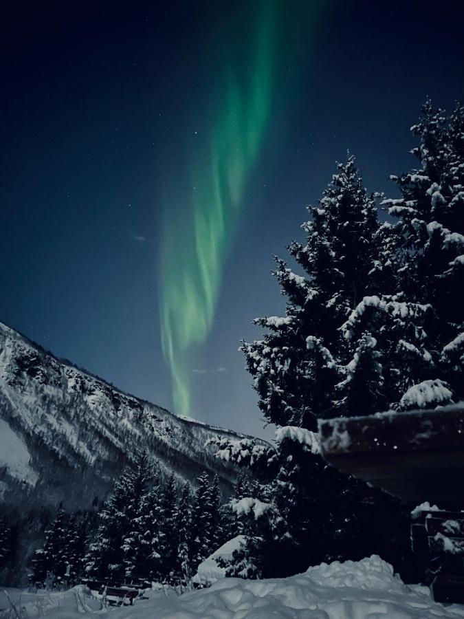 Close To The City, Ocean And Mountains -tromso Apartment *